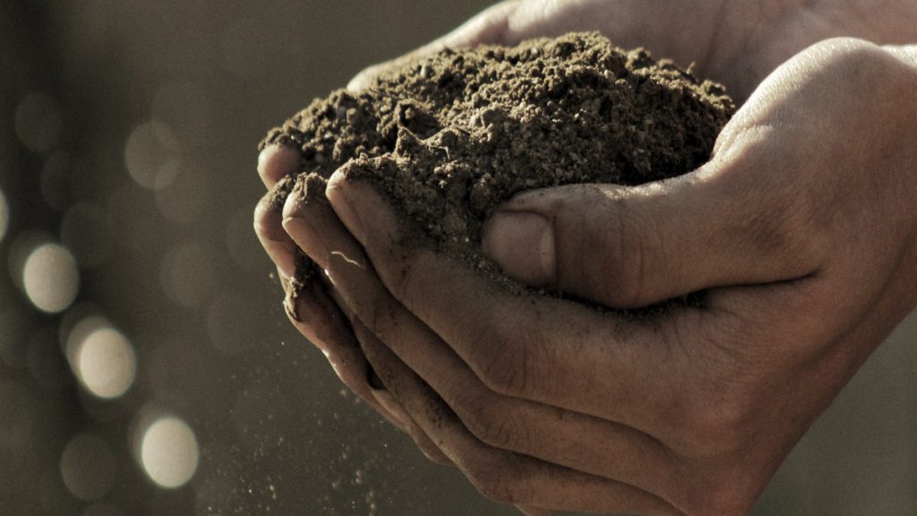 manos de hombre llenas de tierra de campo alimentacion sostenible capsa vida