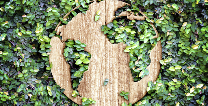 mapamundi de madera rodeado de naturaleza el crecimiento economico es compatible con el desarrollo sostenible