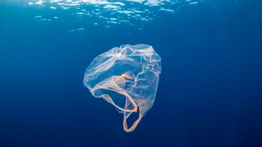 bolsa plastico flotando mar