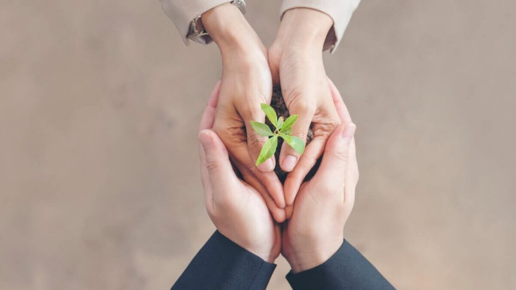 manos de dos personas sujetando una planta - alianzas para la innovacion