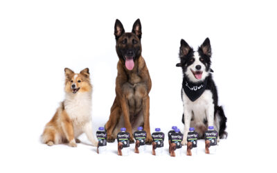 CAPSA FOOD entra en el negocio de las mascotas con YOWUP, el primer Yogur con prebióticos especiales para perros y gatos